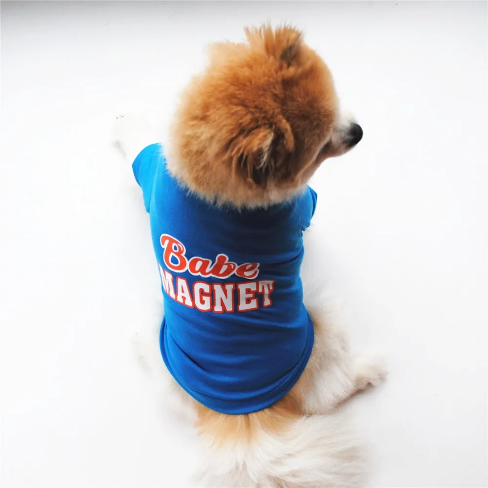 9097825250_361259826