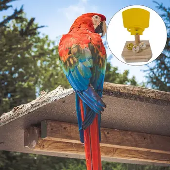 

1 Set Bite Plaything Training Toy Basketball Set Bird Parrot Toy for Birds Pet Parrot Desktop Chew Toy Activity Exercise Toys