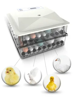 

Incubator Small Household Full-automatic Intelligent Chicken Egg Coop