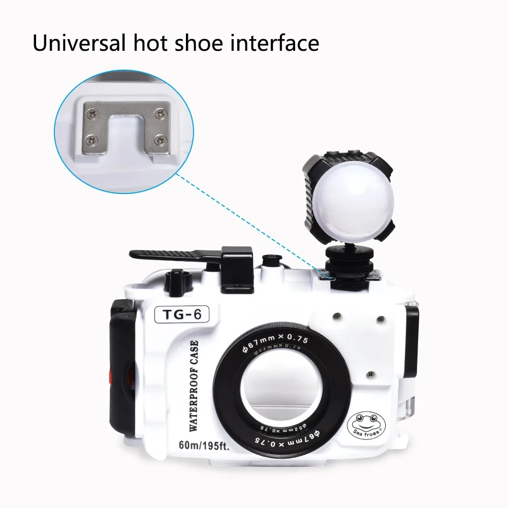 Seafrogs For Olympus TG6 Underwater Case
