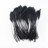 20pcs/Lot Dyed Black Feathers Rooster Goose Pheasant Feathers for Crafts jewelry making Peacock Feather Wedding Decoration Plume ► Photo 3/6