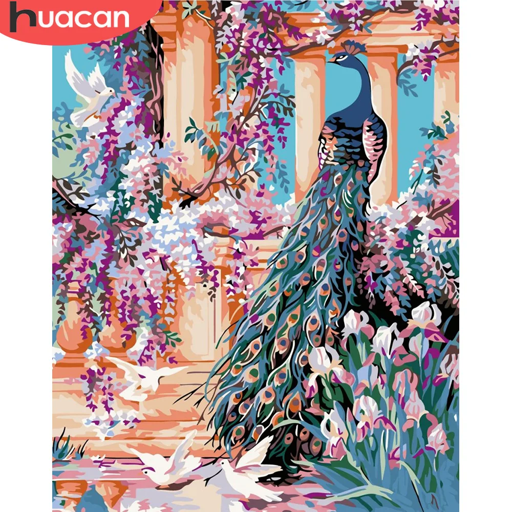 

HUACAN Painting By Numbers Peacock Animals HandPainted Kits Drawing Canvas DIY Oil Pictures By Numbers Flower Home Decor Gift