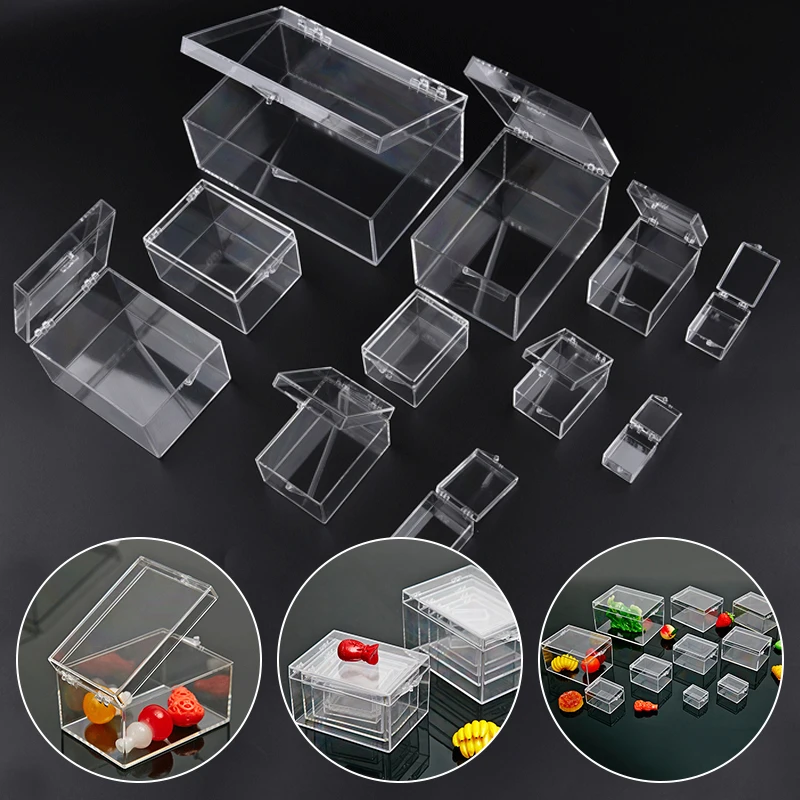 Clear Plastic Box Rectangular Insect Specimen Display Box Home Storage Organizer 