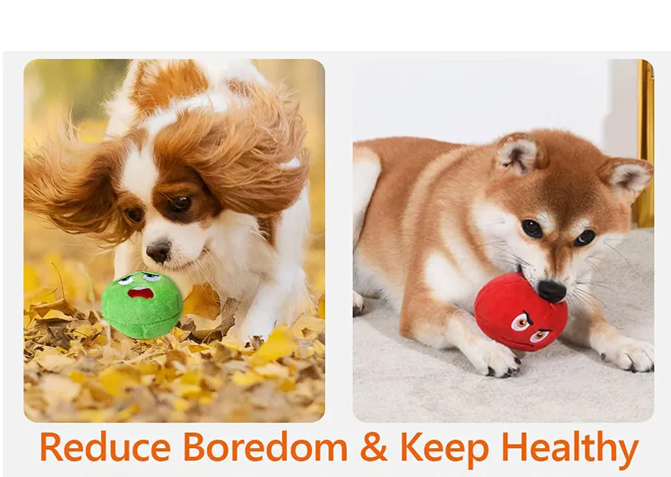 H8ec7c700d48b401dadaa0c23a86486a9M