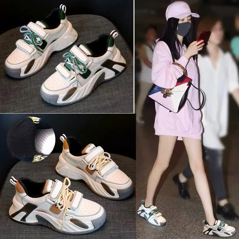 2020010217316606268705w800h800