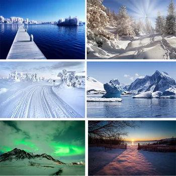 

Vinyl Custom Photography Backdrops Prop Winter landscape Theme Photography Background 200309HD-07