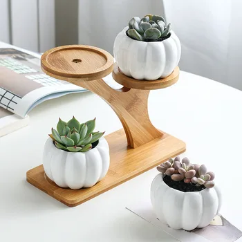 

3 Tier Home Indoor Wear Resistant Modern Bamboo Stand Set Planter Office Pumpkin Succulent Pots Decoration Mini Garden Desk