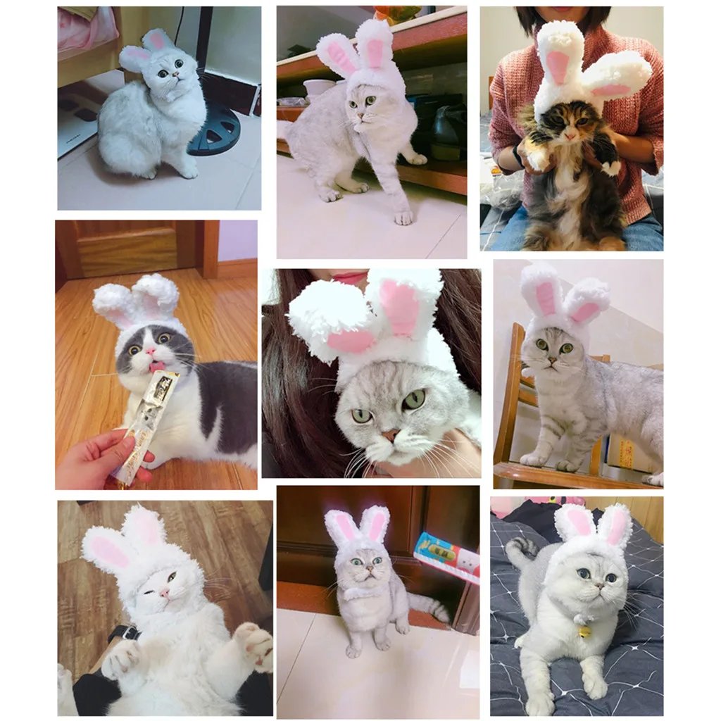 Cat Clothes Costume Bunny Rabbit Ears Hat Pet Cat Cosplay Clothes For Cat Costumes Small Dogs Kitten Costume pet products*5