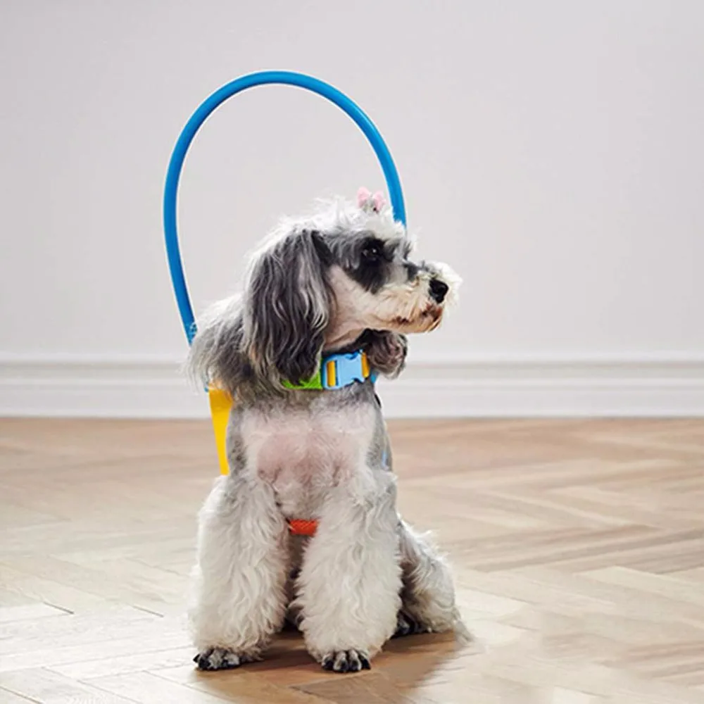 HobbyLane-Blind-Pet-Anti-collision-Ring-Cataract-Animal-Protection-Circle-Guide-Dog-Harness (1)