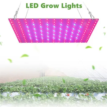 

New Bare board LED plant growth light red and blue spectrum fill light planting light indoor quantum board plant fill light