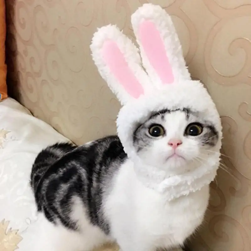 Милый костюм для домашних животных шапка с кроличьими ушками косплея кошек