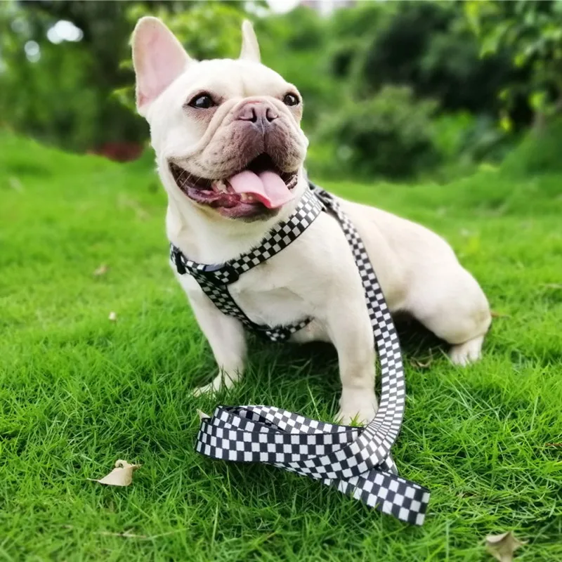 Training Walking Dog Suit Breakaway Plaids Pet Adjustable Harness And Leash Set For Dogs