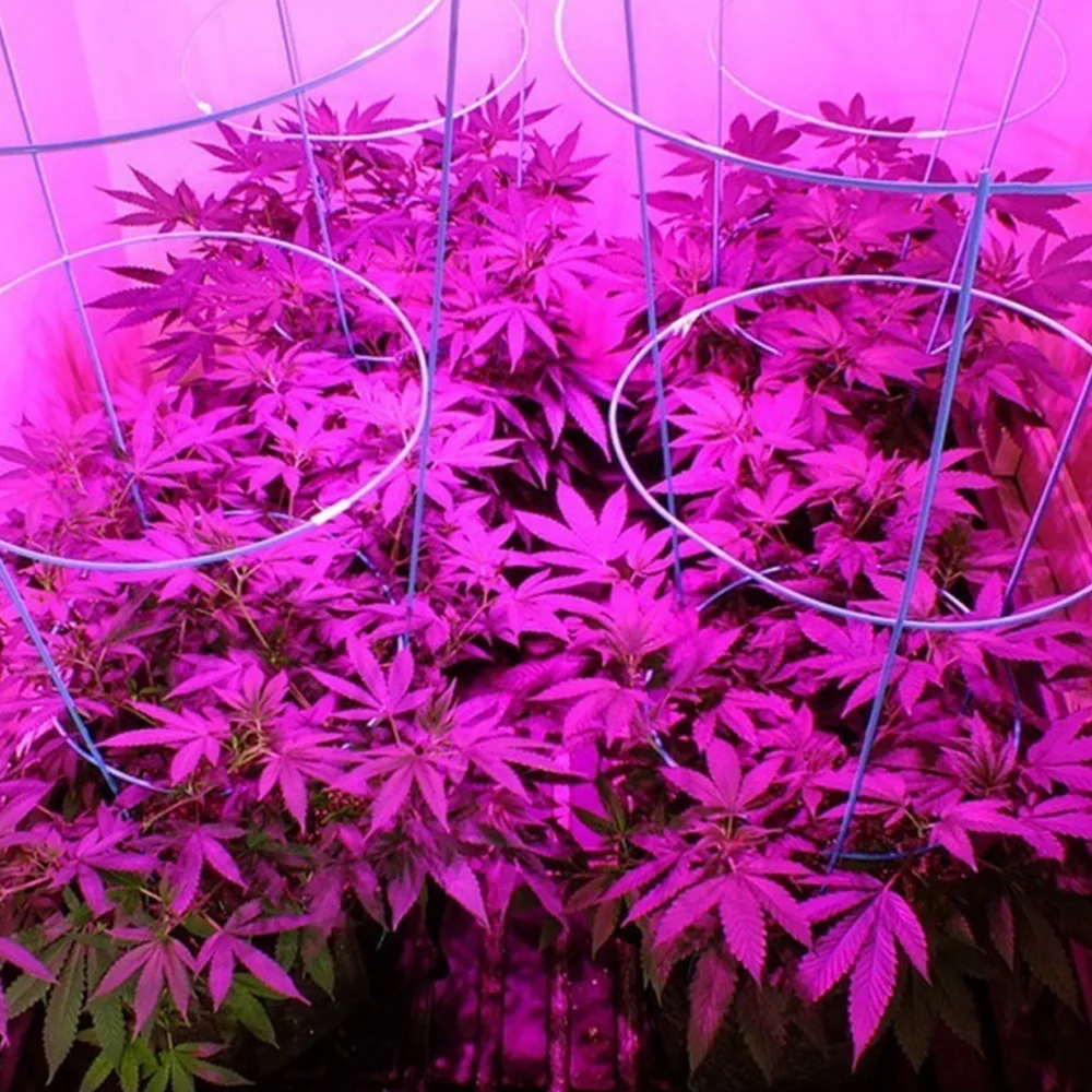 High Brightness Plant Lamp Full Spectrum Grow Light Panel Energy Saving Indoor Led Grow Light Eco-Friendly Vegetables Flower