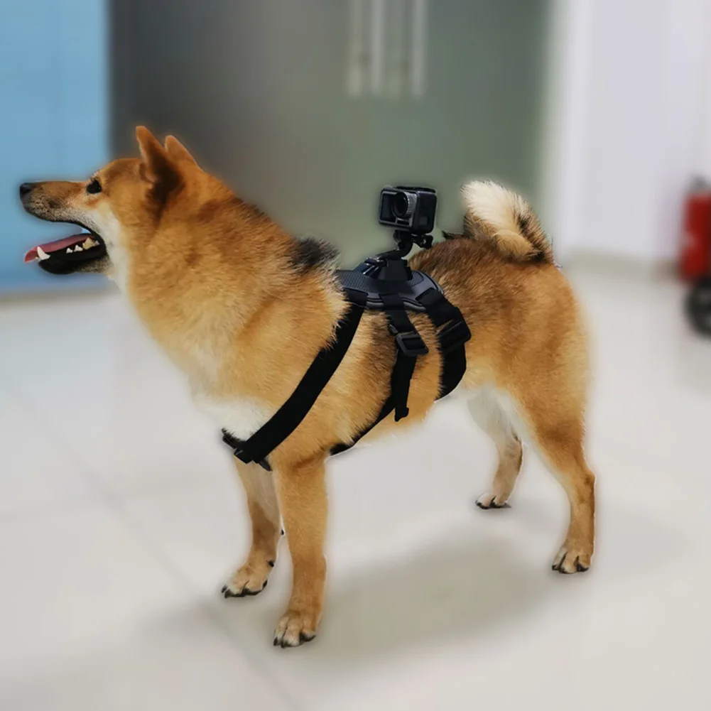 Регулируемый нагрудный ремень для собак Pet эластичный задний ремень крепление для DJI OSMO экшн-камеры OUJ99
