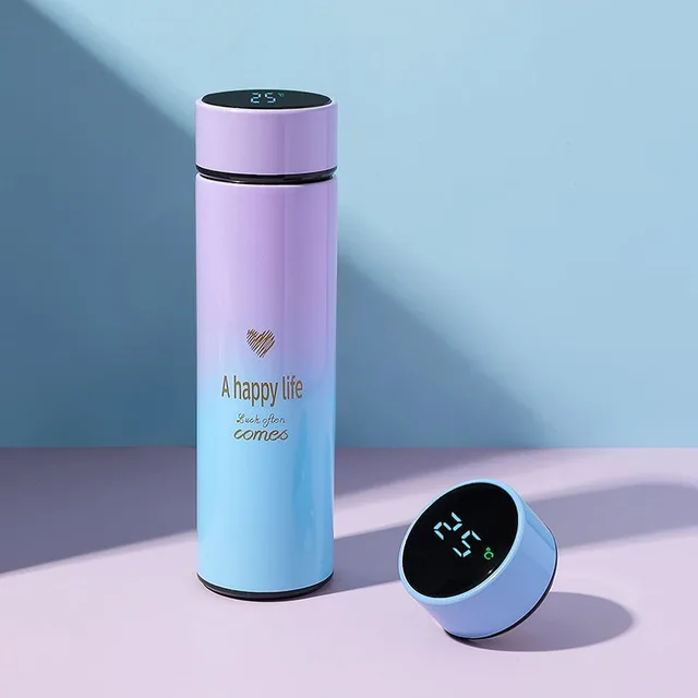 500ml Thermo Bottle Thermal Cup Vacuum Flasks Stainless Steel Thermos for Tea Cover LED Smart Temperature Display Water 2