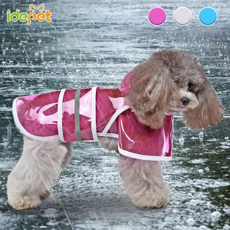 Aliexpress chubasquero perro Clearance
