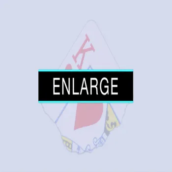 

Enlarge by SansMinds (Gimmicks) Magician Cards Comedy Easy Close up Magic Tricks Illusions Card Magic Props