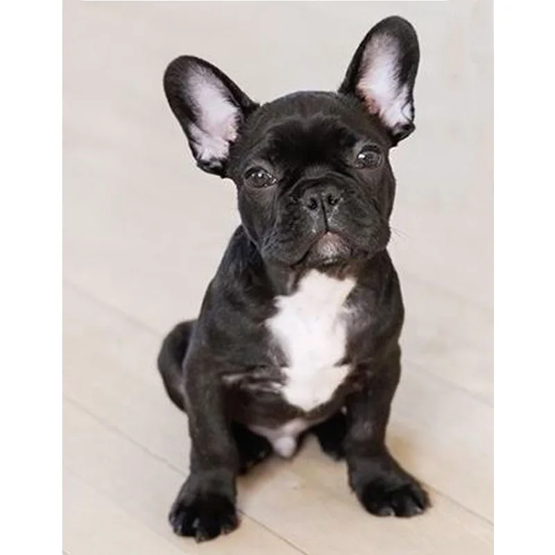 HTB19EJVcY_I8KJjy1Xaq6zsxpXao