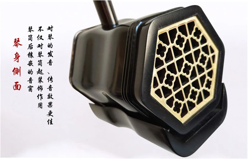 Ebony Upscale Musical Instrument by Wang Jiawang, Ture Python Skin, Full Erhu Accessories, Chinese Instrument