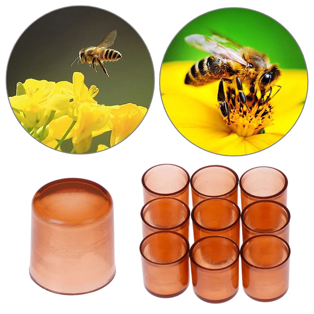 Fast delivery Beekeeping Bee Queen Rearing Plastic Brown Cell Cages Room Cups Beekeepers Equipment for garden supplies Tool gift