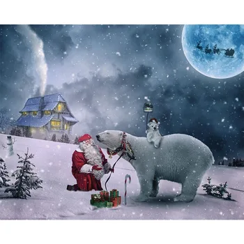 

DIY Christmas series of interesting frameless digital oil paintings Hand-painted Santa Claus and White Bear under the moonlight