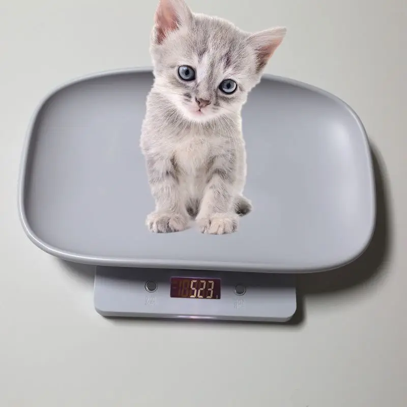 

1g-10kg Pet Dog Cat Animal Scale Digital Baby Infant Weight Scale (kg/oz/lb) LCD 94PC