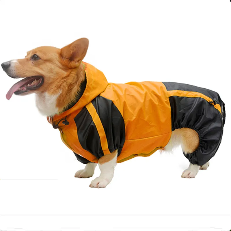 Cheap Capas de chuva para cães