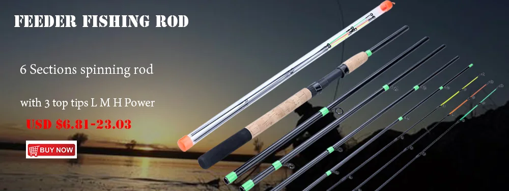 quiver tip rod and reel combo