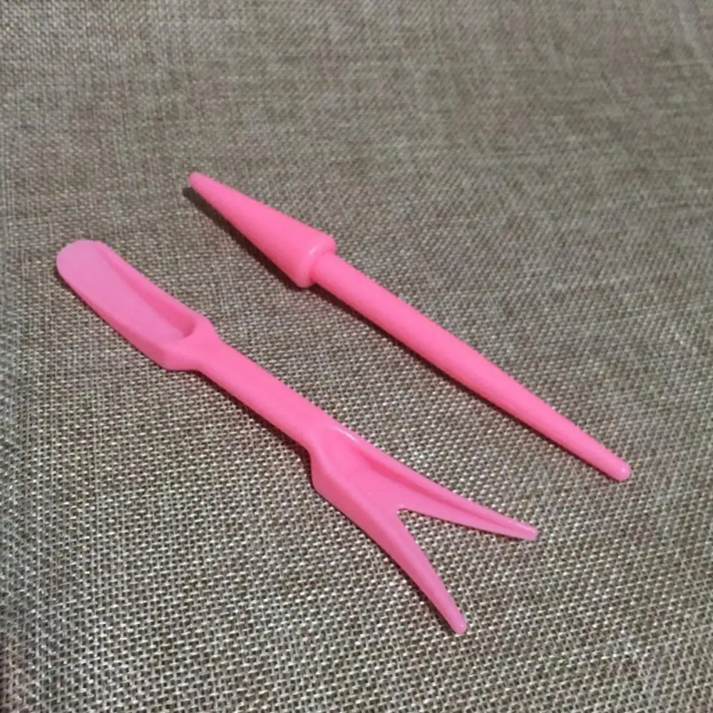 Новые суккуленты для трансплантации саженцев саженцы инструмент садовое