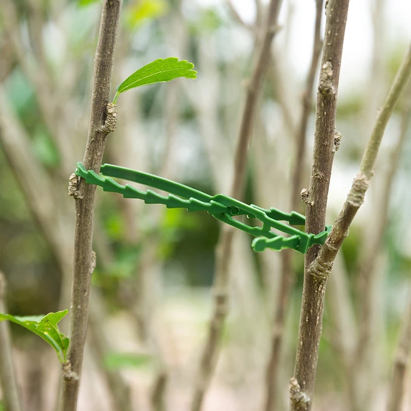 20-200PC Plastic Plant Support Clips Reusable Plant Vine Connects Fixing Tool Vegetable Tomato Grafting Protect Garden Supplies