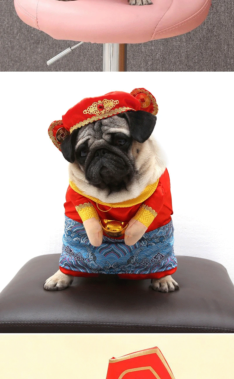 9164946624_291311941