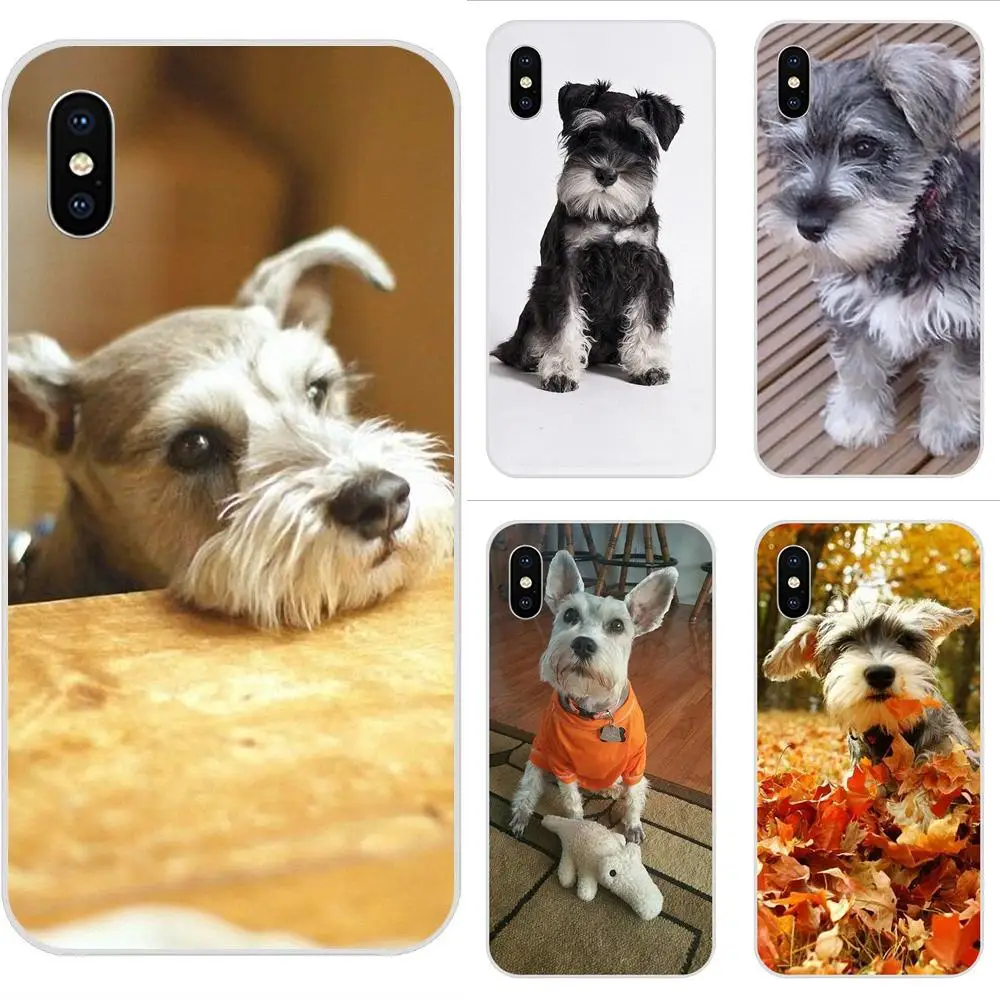 

Cute Pet Dog Miniature Schnauzer For Galaxy Alpha Note 10 Pro A10 A20 A20E A30 A40 A50 A60 A70 A80 A90 M10 M20 M30 M40