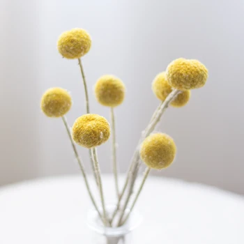 

20pcs Home decoration dried flowers natural round yellow billy balls wedding flowers bouquet