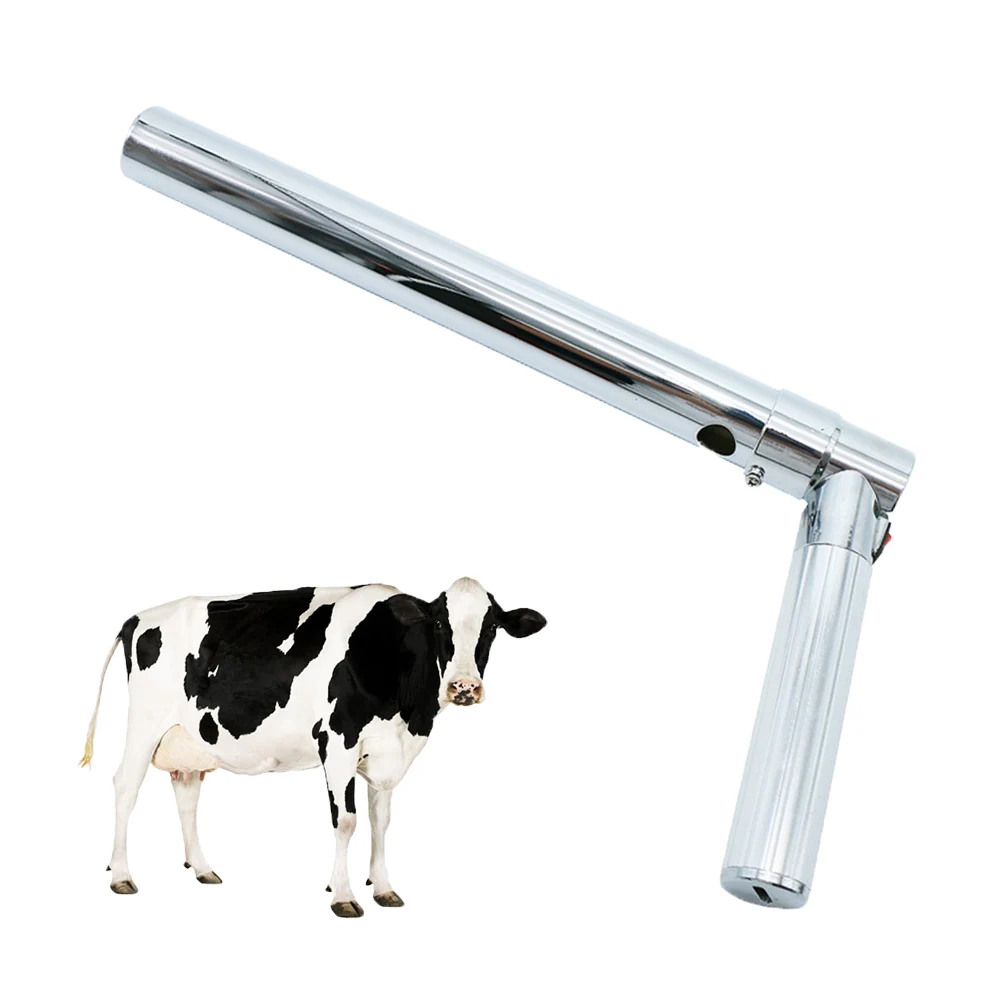 Cattle