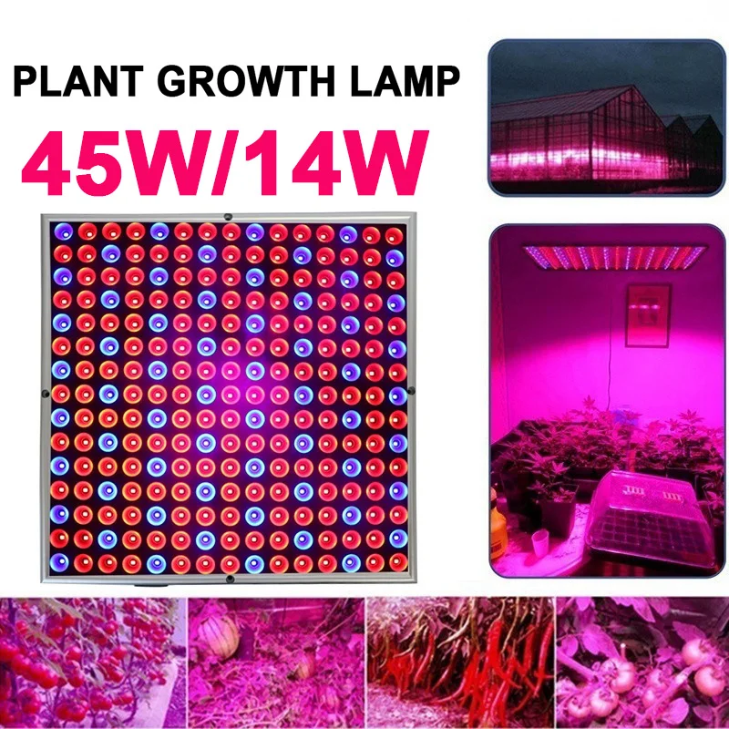 

Eco-Friendly Led Grow Light Red Blue Vegetables Greenhouse Plant Hydroponic Indoor Plants Growth Light High Brightness 225LED