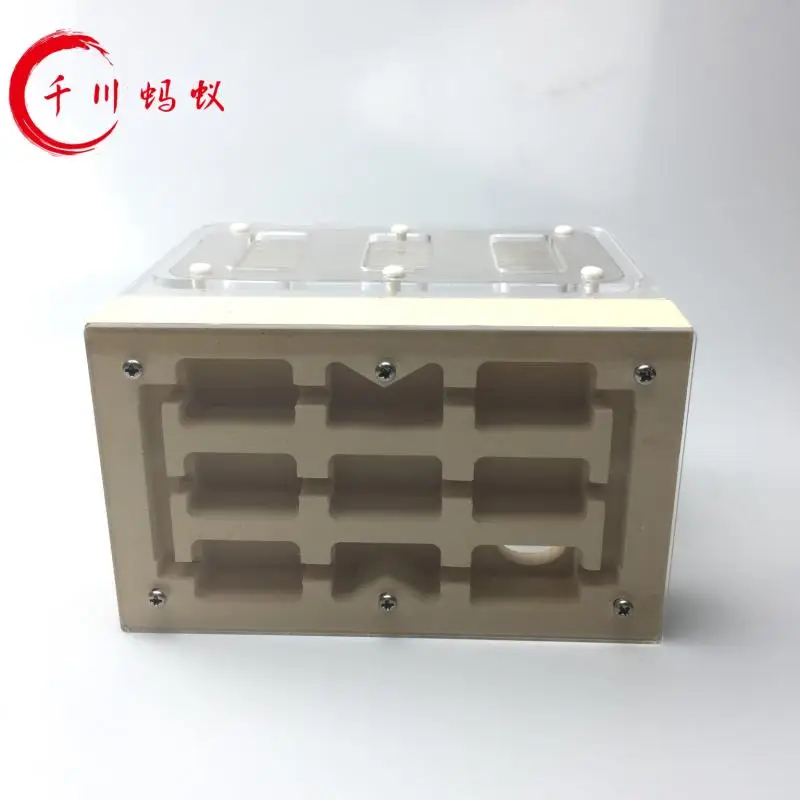 Gypsum & Acrylic Ants Nest Ants Farm 15*12*90mm With Feeding Area For Big Ants Big Colonies