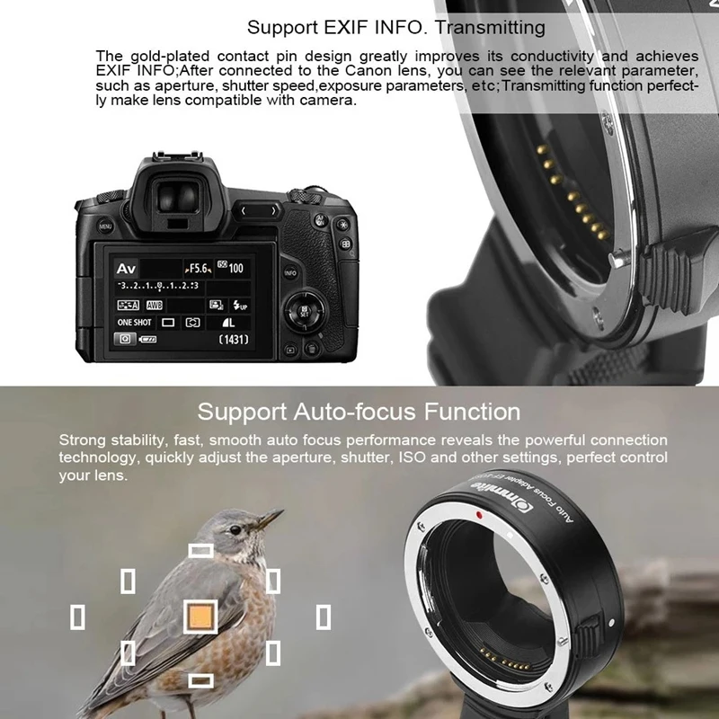 Underwater Fishing Camera 4.3 Inch HD LCD Fish