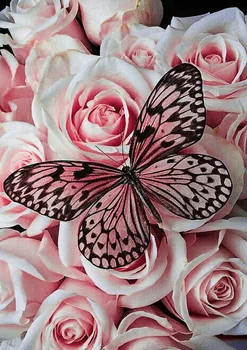 

Pink Rose Black Butterfly Diamond Painting Handicrafts 5D DIY Diamond Embroidery Cross Stitch Mosaic European Home Wall Decor