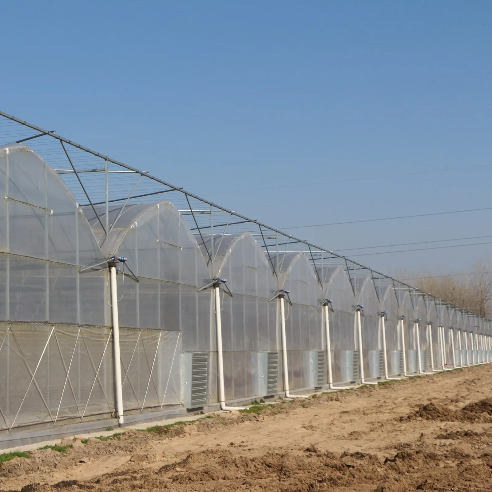 Рисунок 2 - Многопролетная пленочная теплица