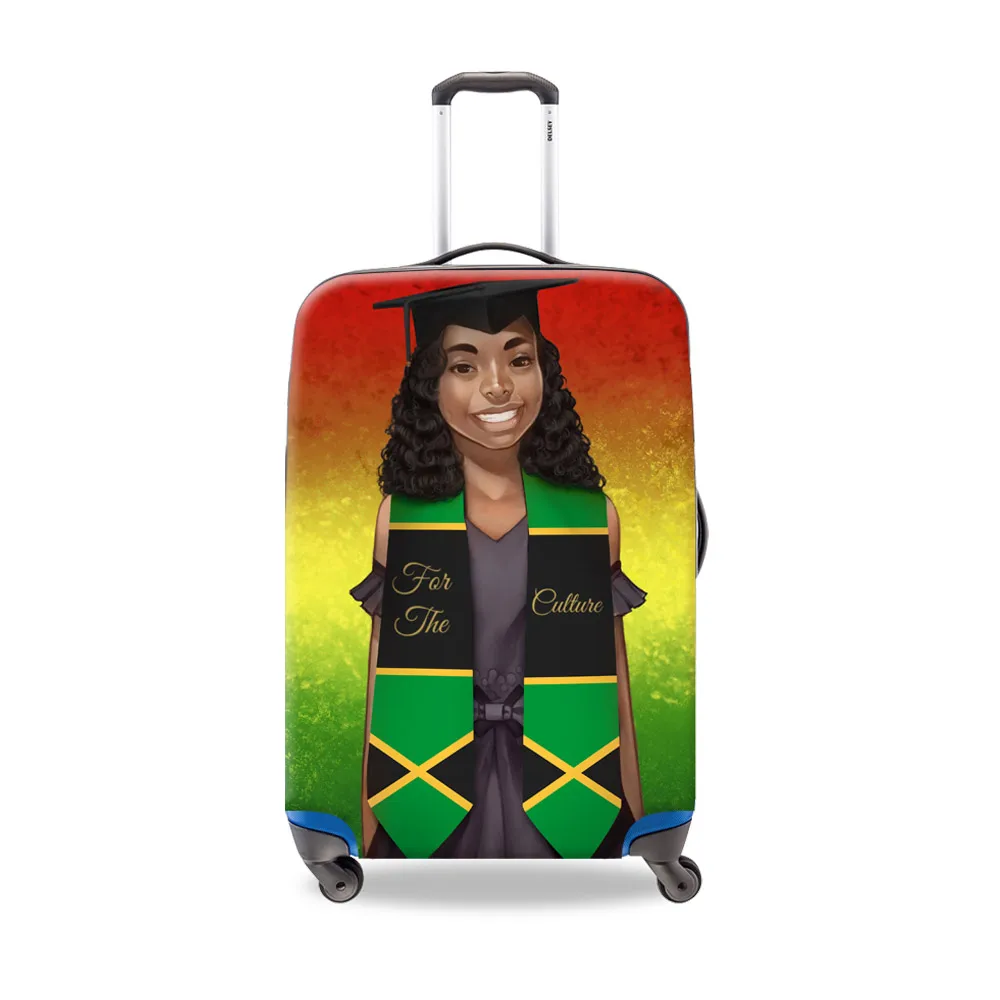 Luggage Cover19