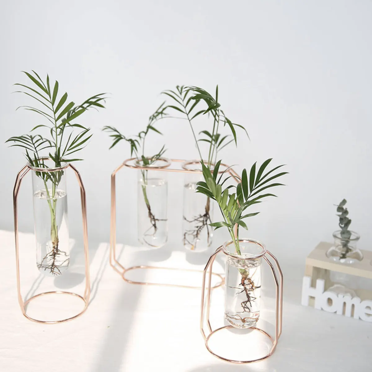 

Nordic Golden Glass Vase Iron Hydroponic Plant Flower Vase Tabletop Coffee Shop Office Home Decoration Accessories Modern