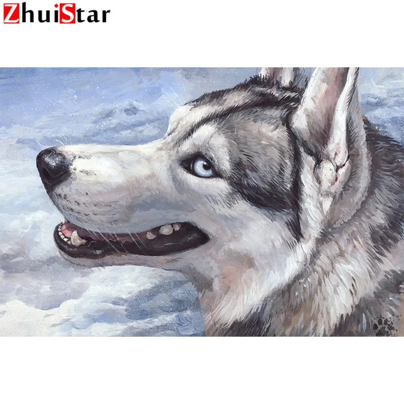 собака хаски арт. хаски.