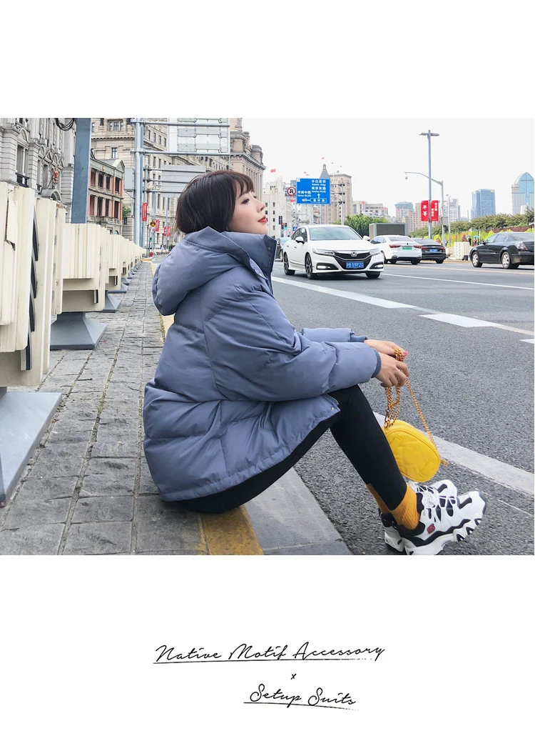 Korean-style CHIC Hooded down Coat Women's Winter New Style Fashion Loose Slimming Slim Fit Versatile Short Cotton-padded C