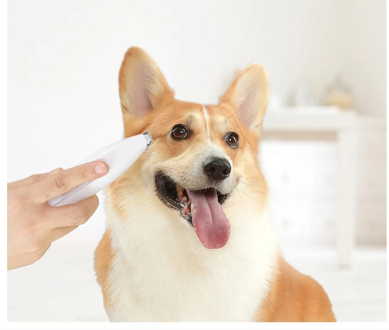 20190827_113052_002_01