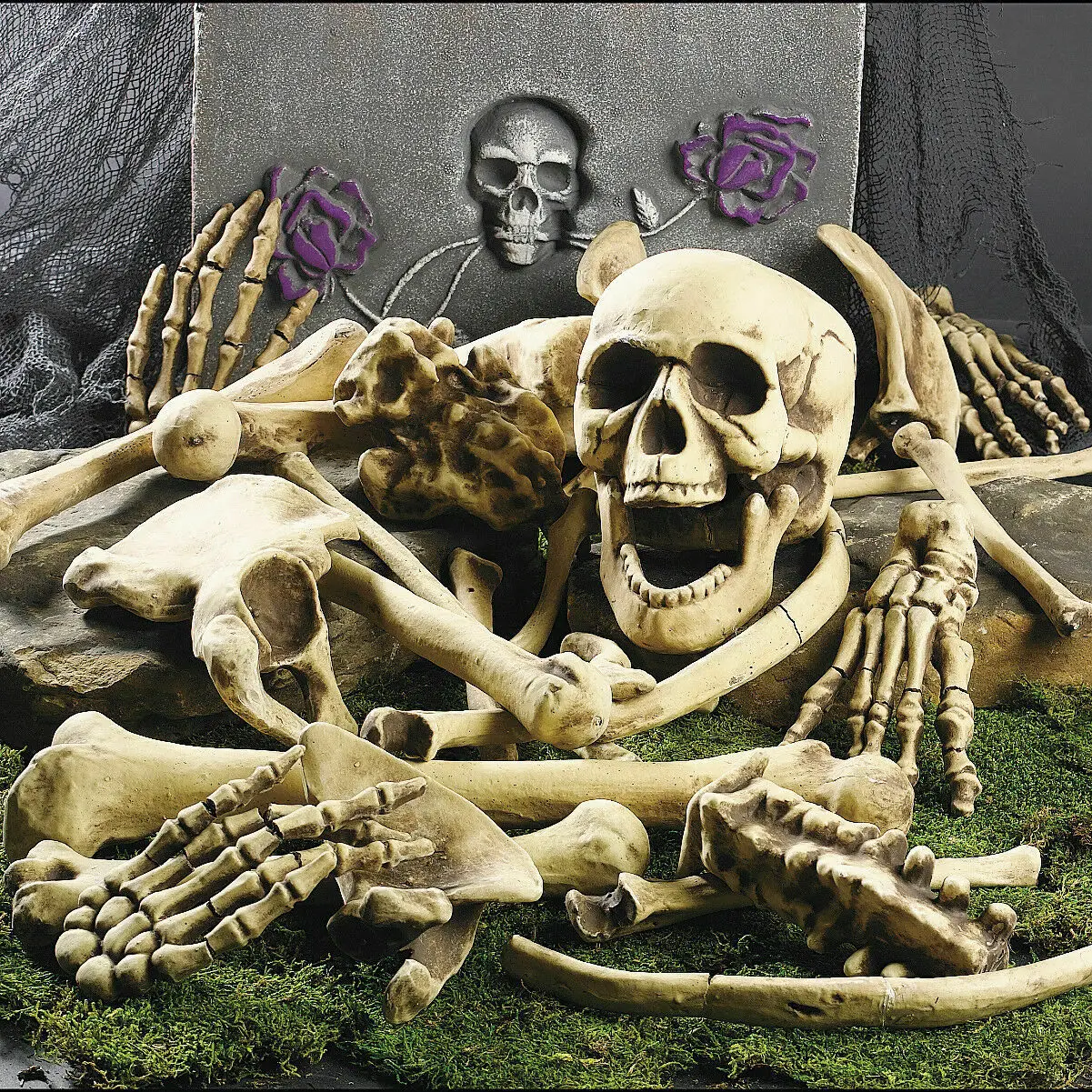 

Halloween Skeleton Bones 28 pieces Halloween Prop Skeleton Skull Haunted House Horror prop Party Decorations Tricky Bones Skull