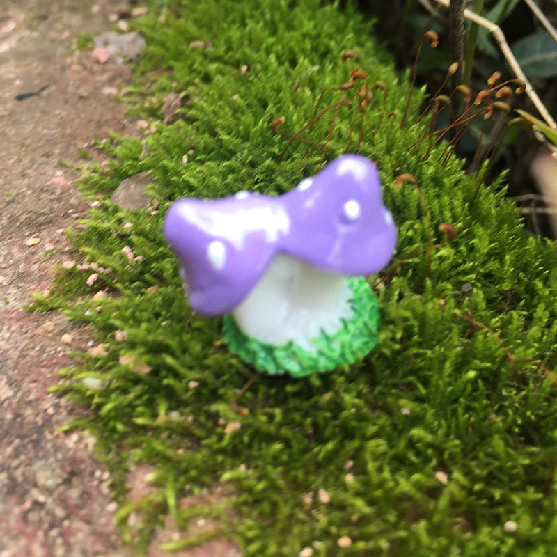 1 шт. мини маленький гриб DIY игрушки, поделки, рисунок Террариум с мхом, сказочный садовый орнамент, ландшафтный декор, суккулентные растения, украшения - Цвет: Purple
