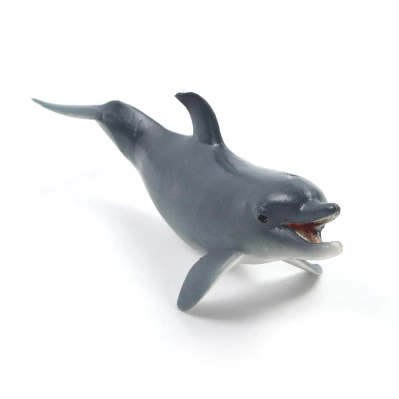 

Children Model Solid Zoo Oceans World Dolphin Marine Organism Model