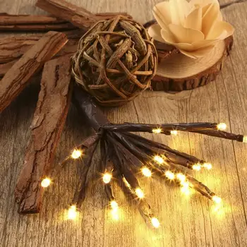 

Waterproof Flexible 20cm 100pcs LED String Light with Electronic Transformer for Holiday Birthday Family Gathering Decoration