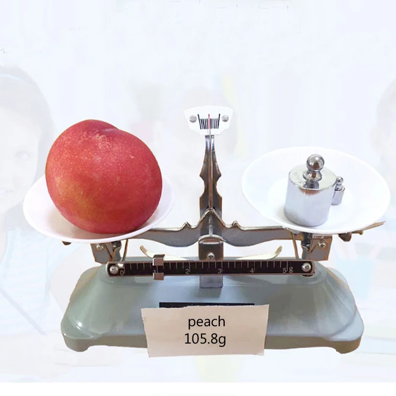 Laboratory Balance & Small Error Good Quality Tray Balance & Weight Setting Laboratory Mechanical Scale (100g / 0.1g)
