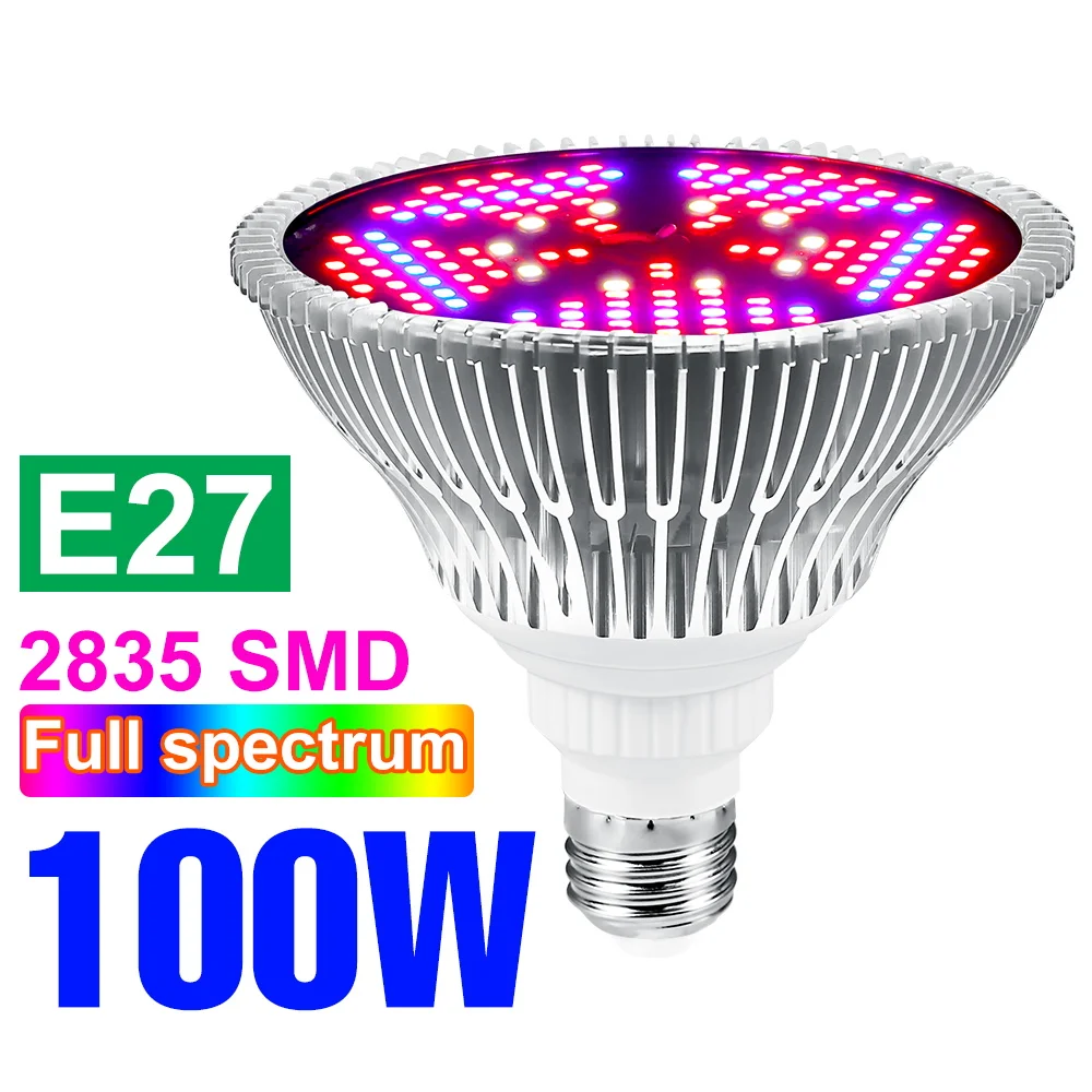 E27 100W